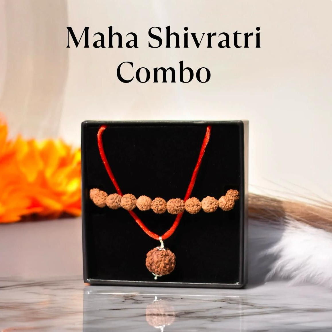 5 Mukhi Rudraksha With Bracelet